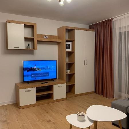 Sunny Apartment In スチャヴァ エクステリア 写真